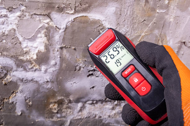 Best Home Mold Removal  in St Ann, MO