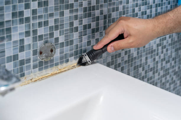 Best Same-Day Mold Removal  in St Ann, MO